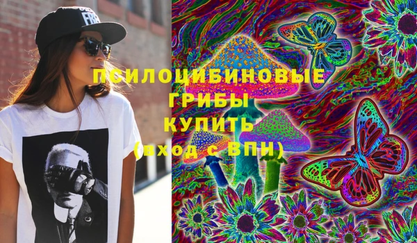 Альфа ПВП Алексин