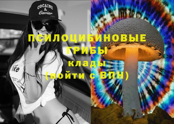 гидропоника Алексеевка
